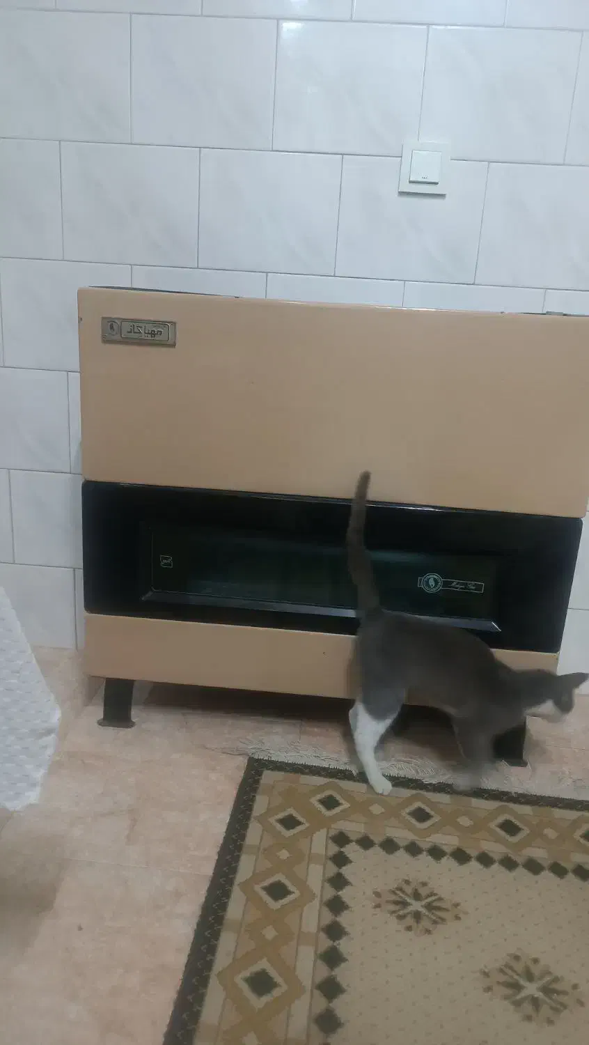 بخاری گازی|بخاری، هیتر، شومینه|محمودآباد, |دیوار