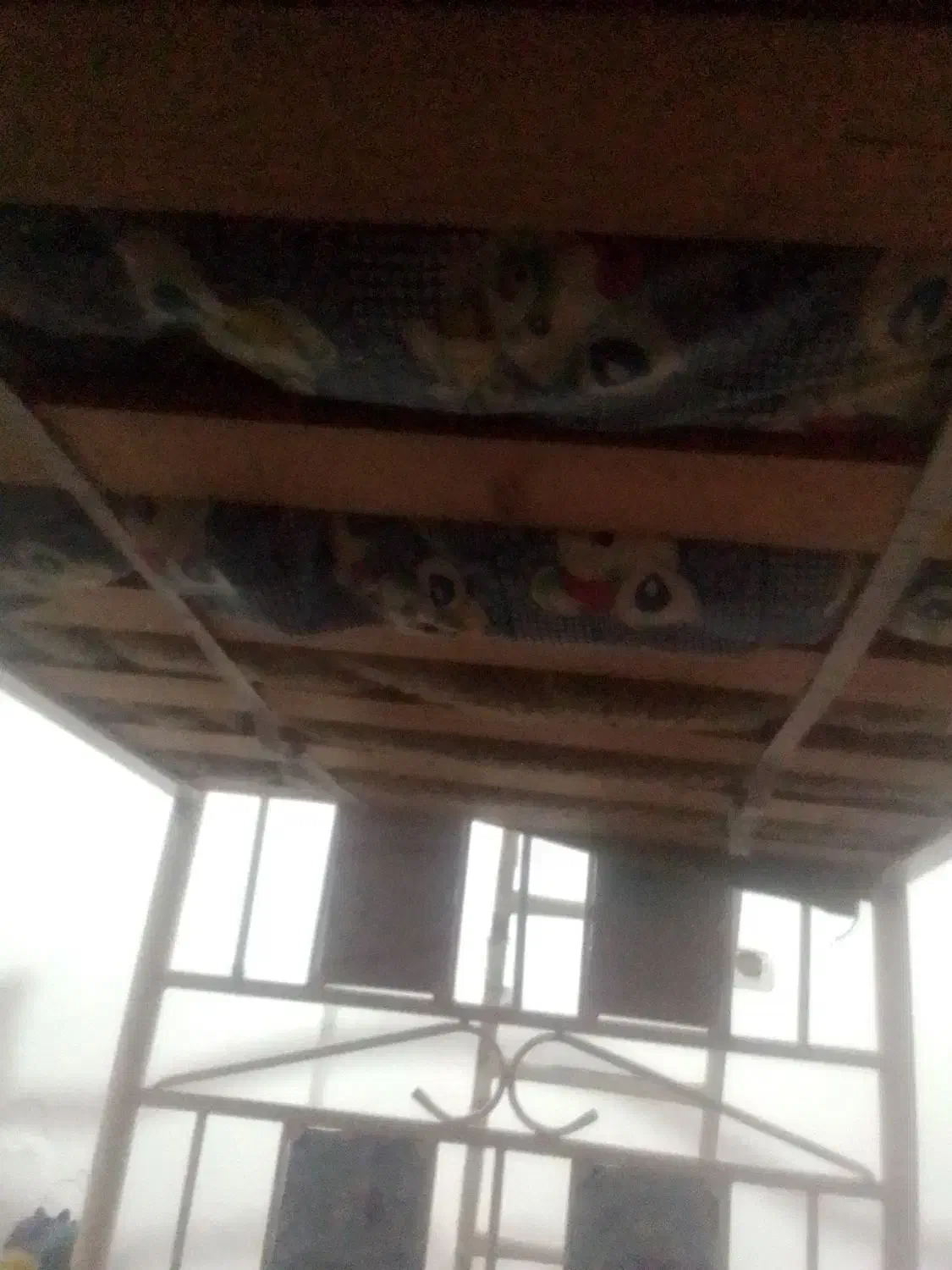 تخت خواب دو طبقه|تخت و سرویس خواب|بندر انزلی, نوغان|دیوار