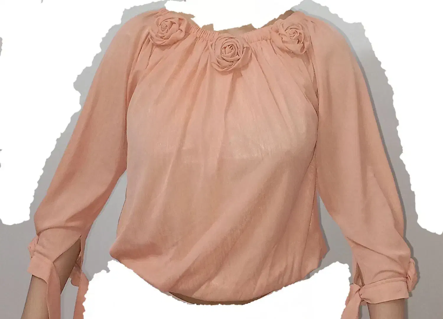 ۲ عدد شومیز|لباس|مشهد, رده|دیوار