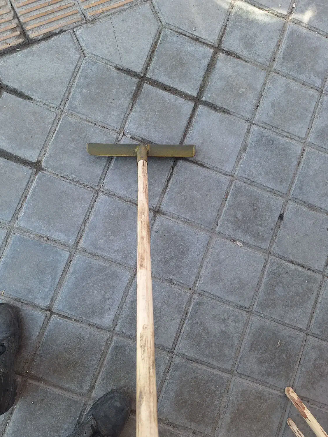 طی قالیشویی|لوازم نظافت|خمینی‌شهر, |دیوار