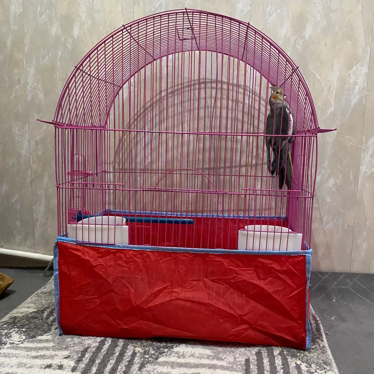 قفس بزرگ|لوازم جانبی حیوانات|بروجرد, |دیوار