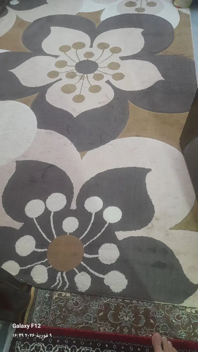 گلیم فرش شش متری|گلیم، جاجیم، گبه|سنندج, |دیوار