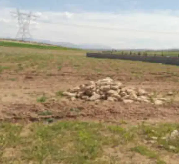 فروش زمین باغشهری در مجموعه ارم|فروش زمین و ملک کلنگی|شیراز, قلات|دیوار