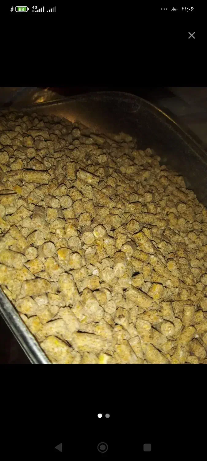 سوپراستارترباآنالیزدان پارس شرکتی مرغ بوقلمون جوجه|لوازم جانبی حیوانات|تهران, شمس‌آباد|دیوار