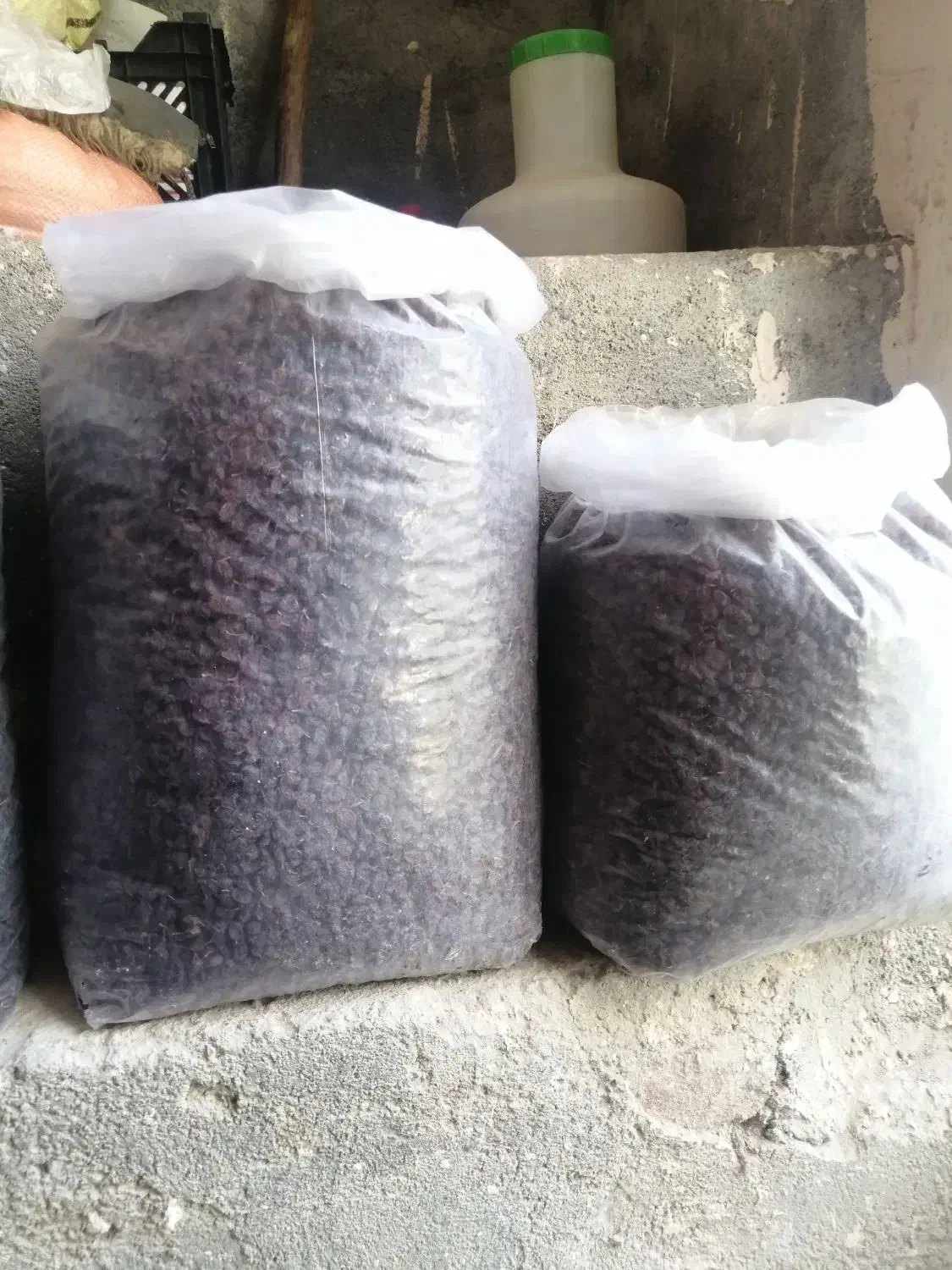 کشمش و فخری ترو تمیز ورجوی|خوردنی و آشامیدنی|مراغه, |دیوار