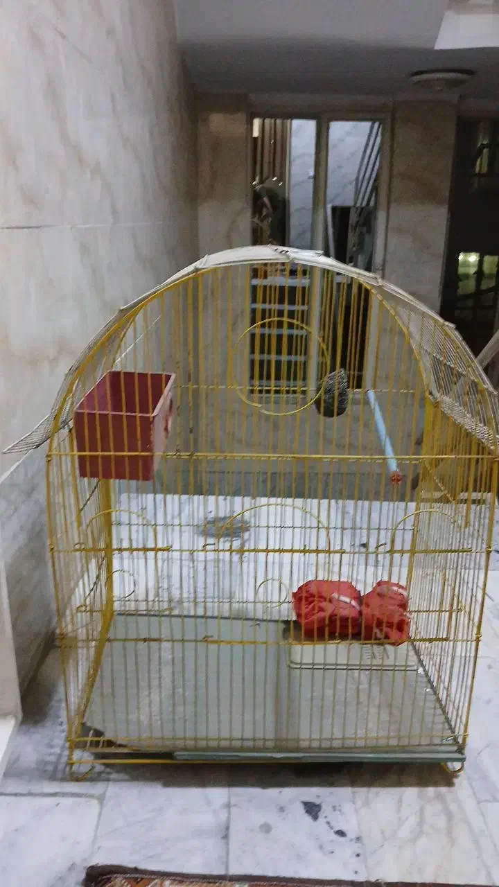 قفس پرنده|لوازم جانبی حیوانات|محمدشهر, محمدشهر|دیوار