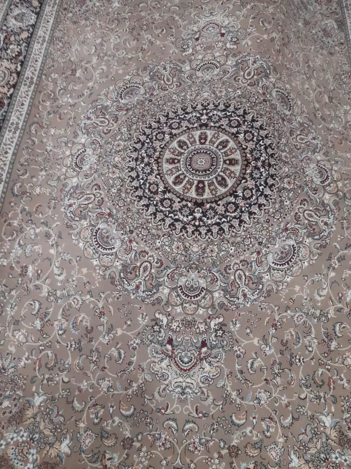 دوتا فرش شیش متری|فرش|رشت, چله خانه|دیوار