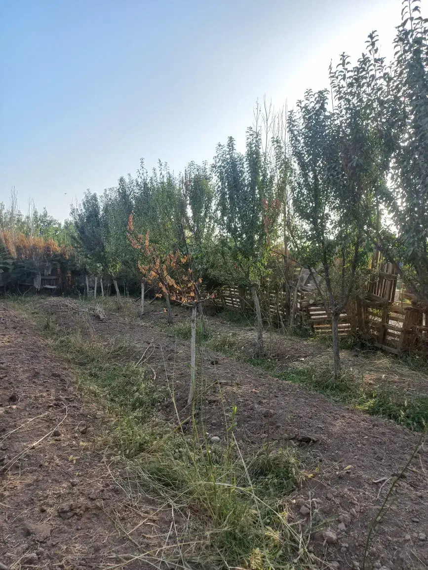 باغچه|فروش زمین و ملک کلنگی|خاوران, |دیوار