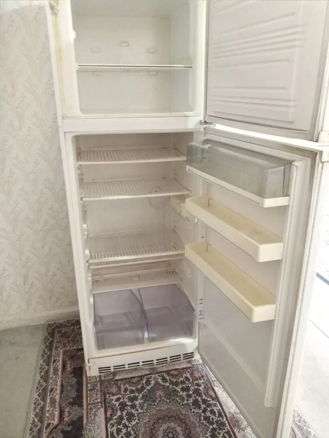 یخچال آزمایش|یخچال و فریزر|مرودشت, فرهنگ|دیوار