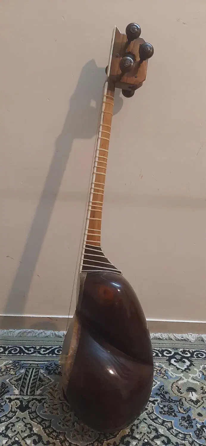 فروش ساز تار|سازهای سنتی|شیراز, گلشن|دیوار