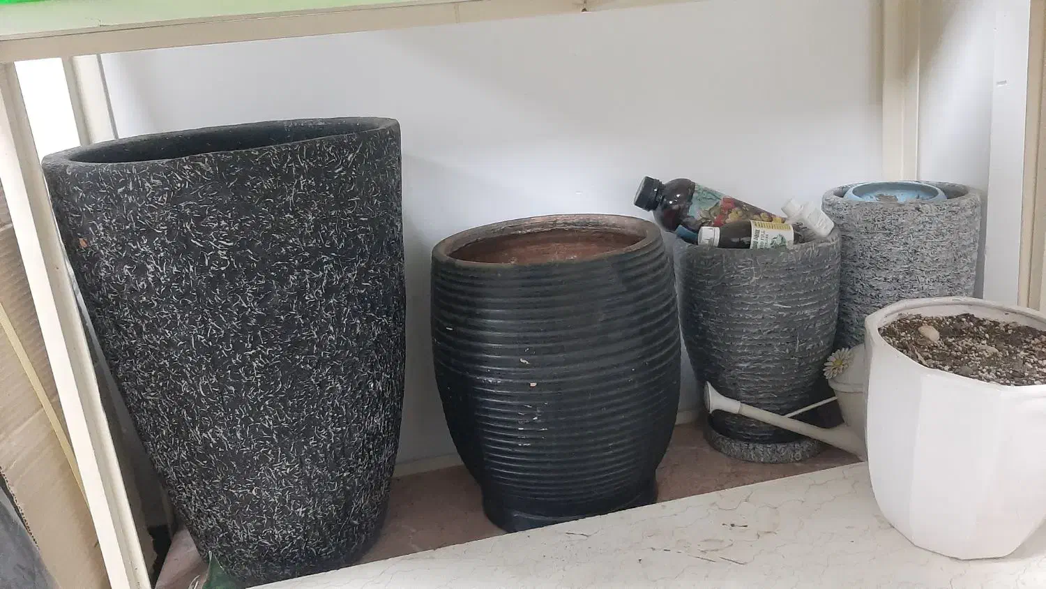 گلدان|گل و گیاه طبیعی|تهران, فلاح|دیوار