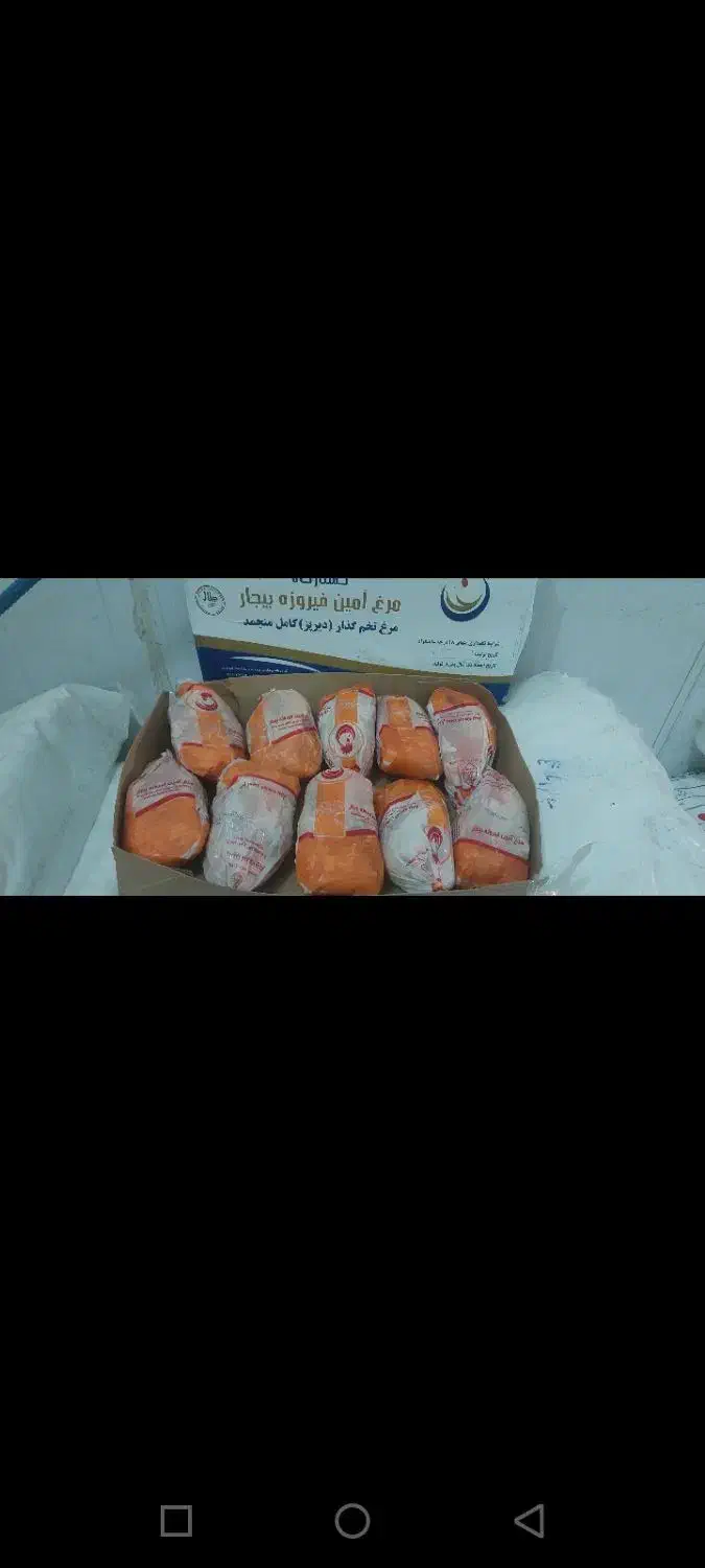 پخش مرغ منجمد بی واسطه،درب سردخانه|خوردنی و آشامیدنی|تهران, جوادیه|دیوار