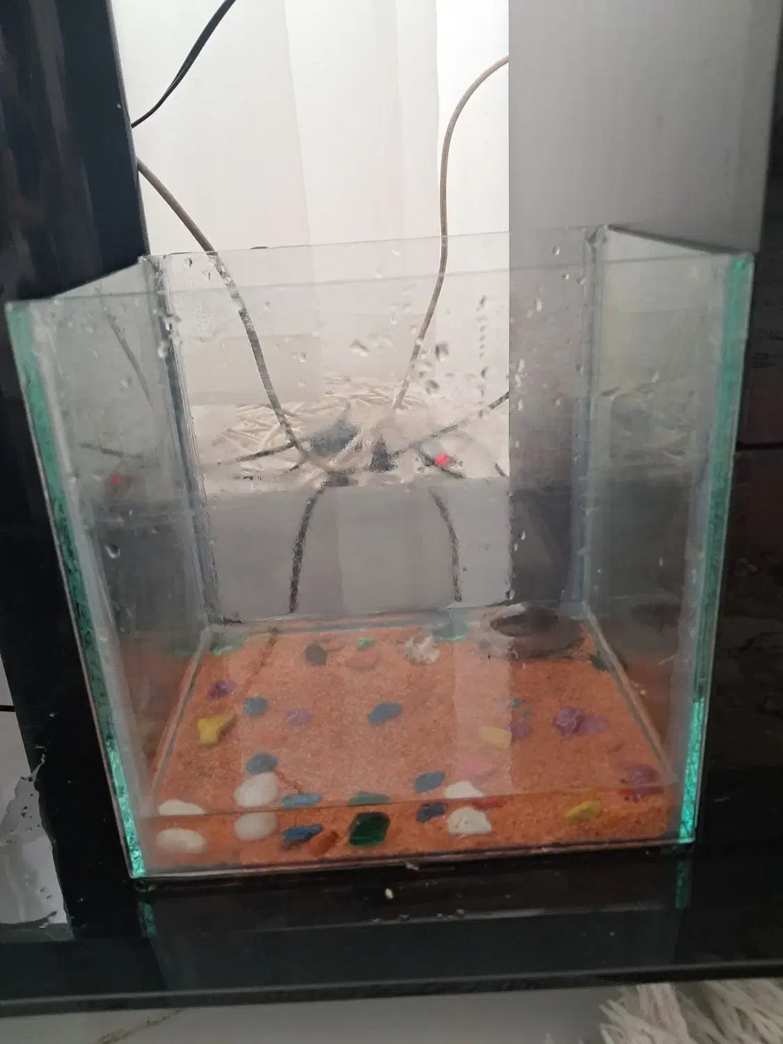 آکواریم و پمپ|ماهی|گلبهار, شهر جدید گلبهار|دیوار