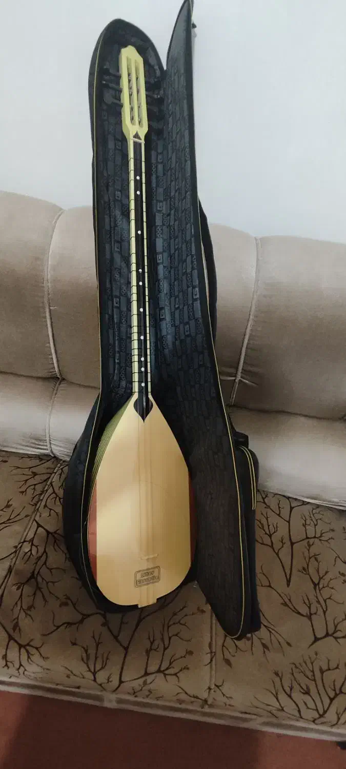 فروش|سازهای سنتی|قروه, |دیوار