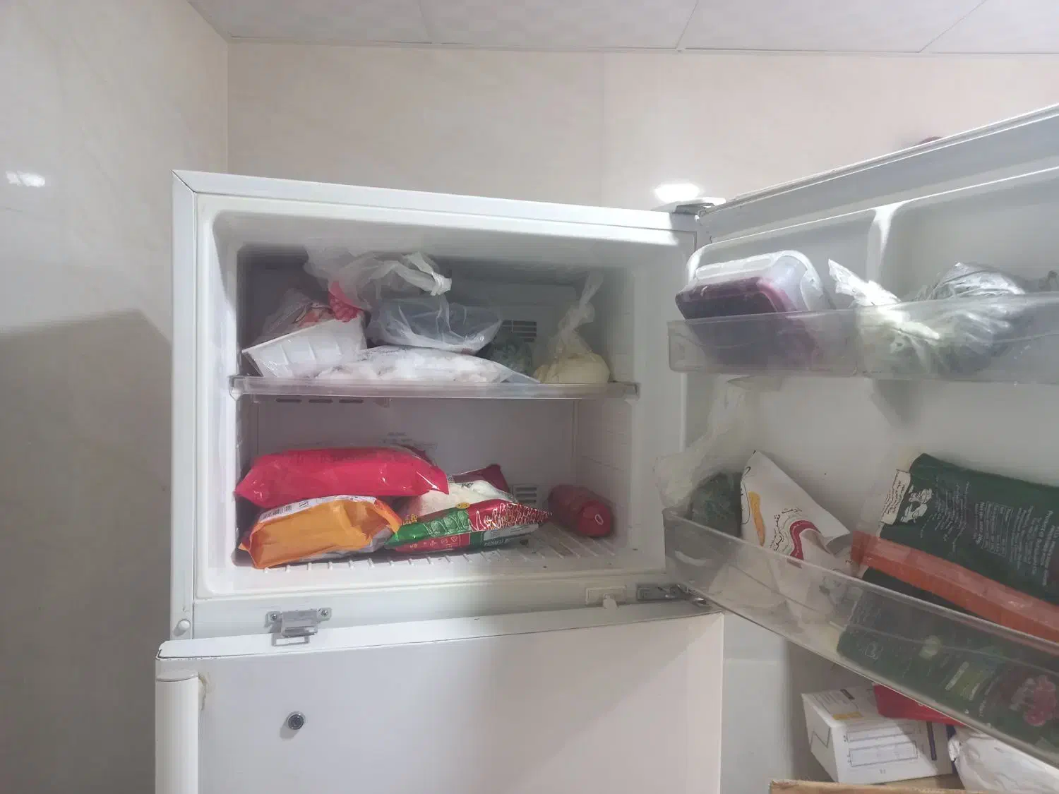 یخجال دوو خیلی جا دار|یخچال و فریزر|سهند, |دیوار