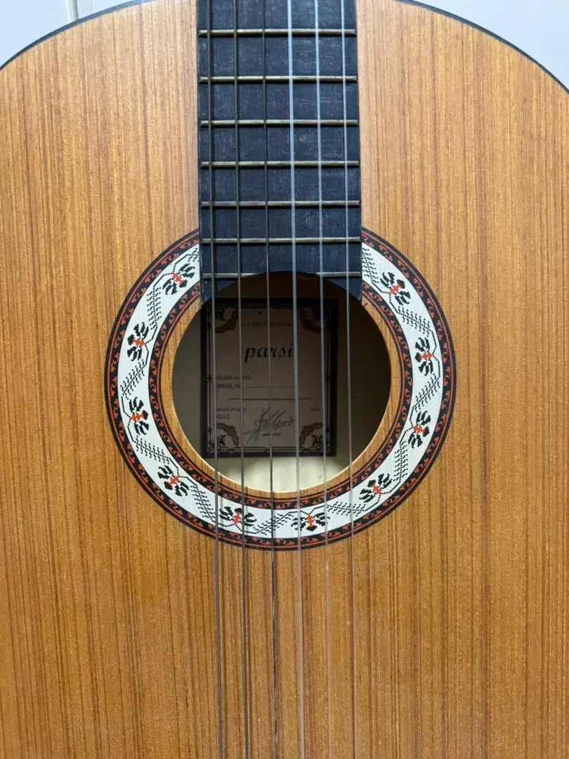 گیتار|گیتار، بیس، امپلیفایر|بوشهر, |دیوار