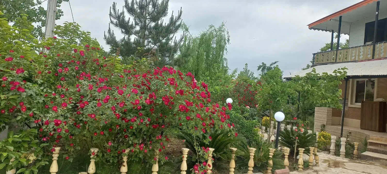 اجاره روزانه ویلاباغ۳۰۰متری رشت مجردخانواده سوییت|اجارهٔ کوتاهمدت ویلا و باغ|رشت, حومه رشت|دیوار