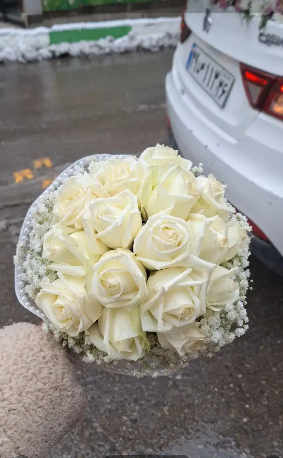 گل‌ و‌ دیزاین‌شیک|گل و گیاه طبیعی|شاندیز, |دیوار