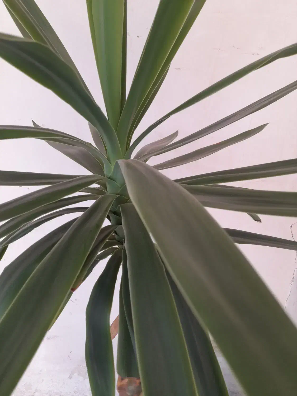 نظافت ساختمان|خدمات نظافت|بیرجند, |دیوار