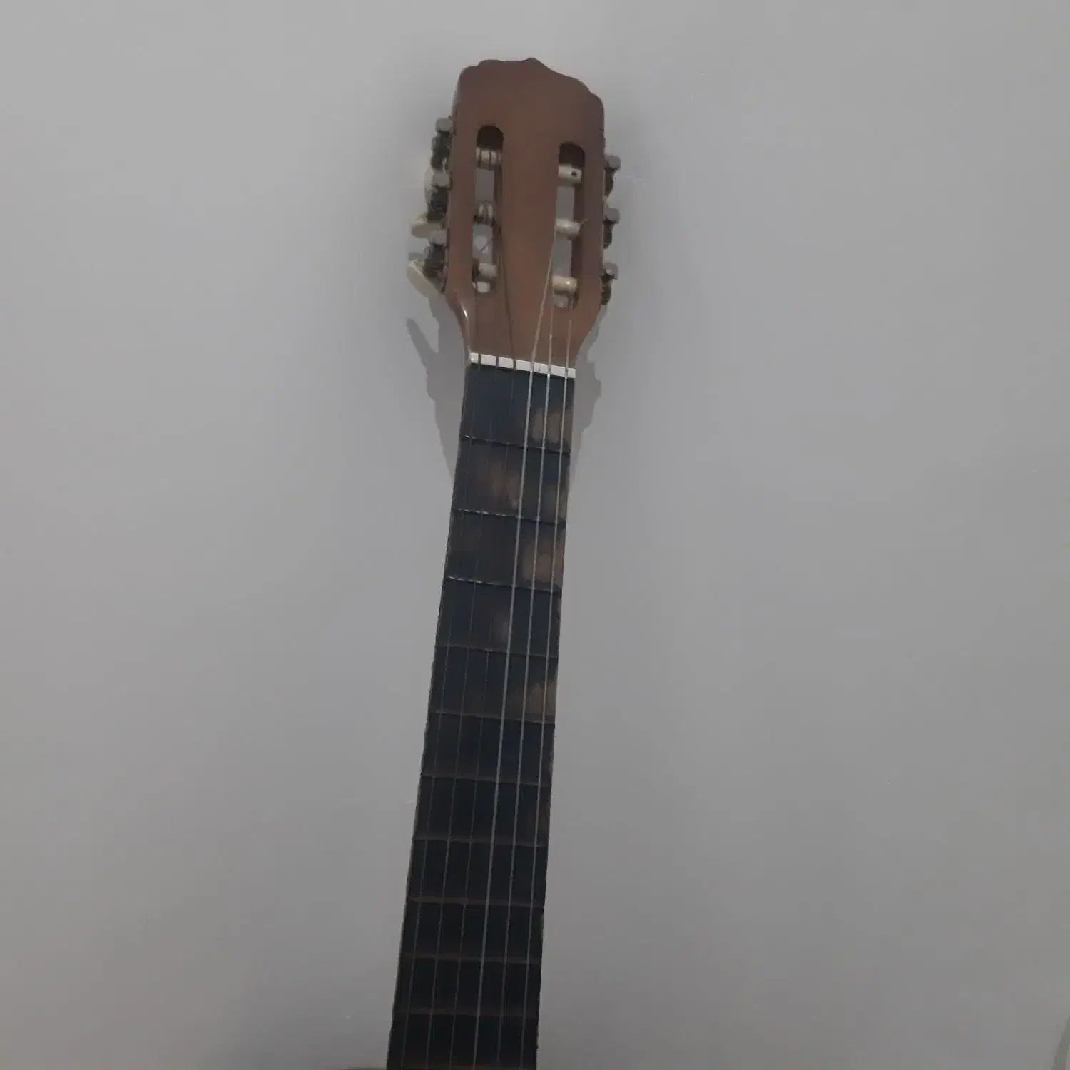 گیتار کلاسیک|گیتار، بیس، امپلیفایر|رشت, سیا اسطلخ|دیوار