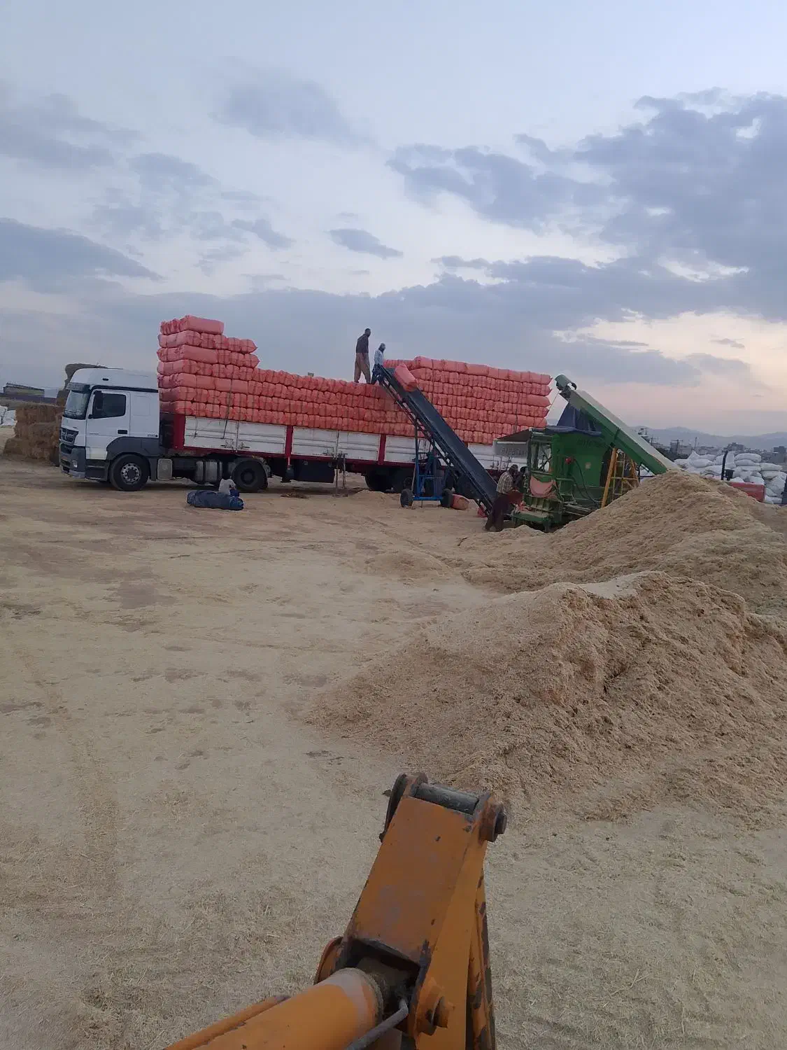 کاه.سفید.به.دونه.خاک|خدمات باغبانی و درختکاری|دهگلان, |دیوار