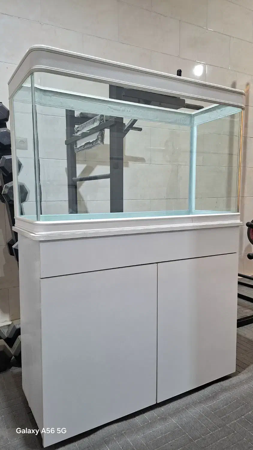 آکواریوم|ماهی|مشهد, نوده|دیوار