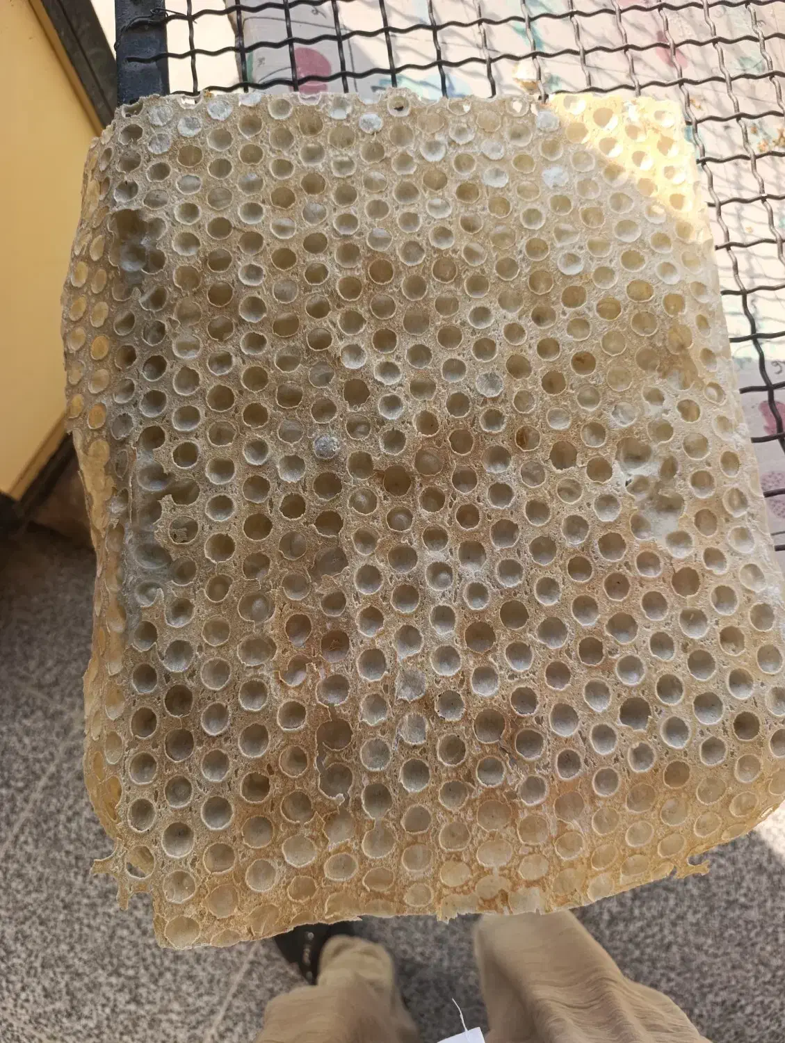 فروش دستگاه نانوایی روتاری|ماشین‌آلات صنعتی|لامرد, |دیوار