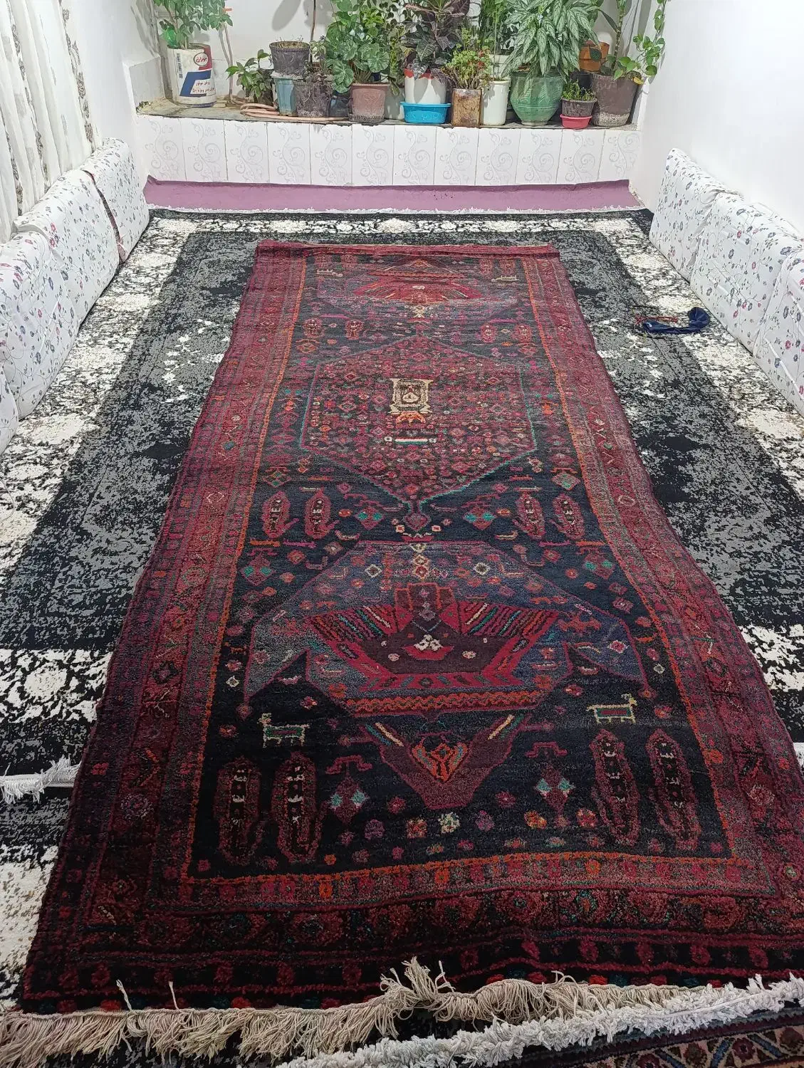 قالی ترنج|فرش|سنندج, |دیوار