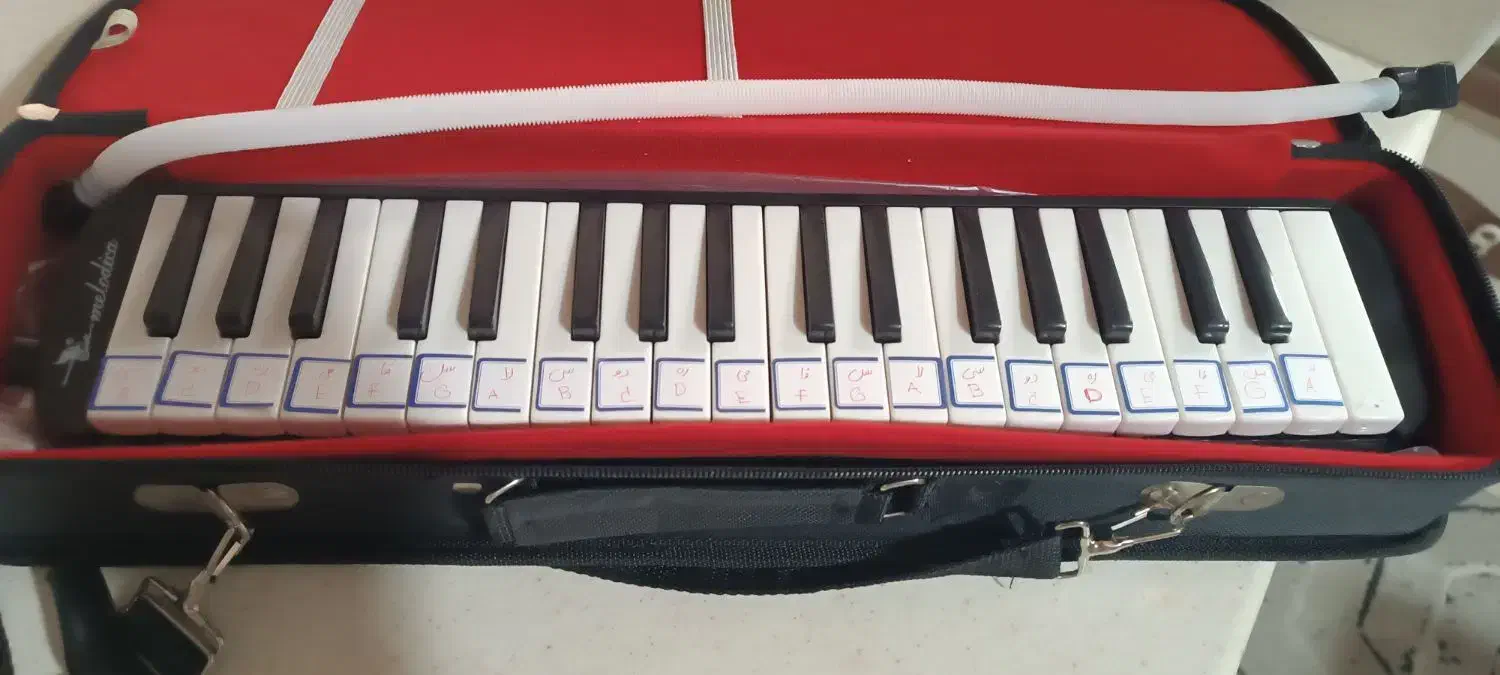 ملودیکا 37 کلید|سازهای بادی|بجنورد, |دیوار