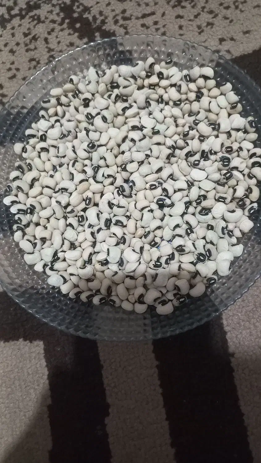 لوبیا چشم بلبلی|خوردنی و آشامیدنی|رشت, شهریاران|دیوار