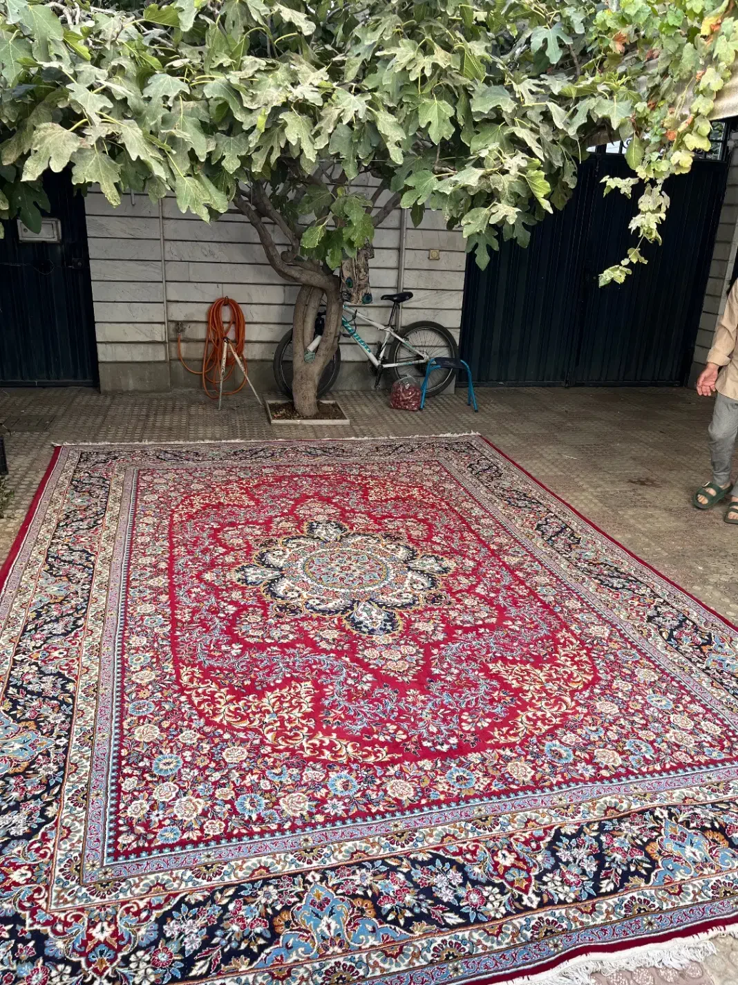 فرش ۱۲ متری|فرش|قزوین, |دیوار