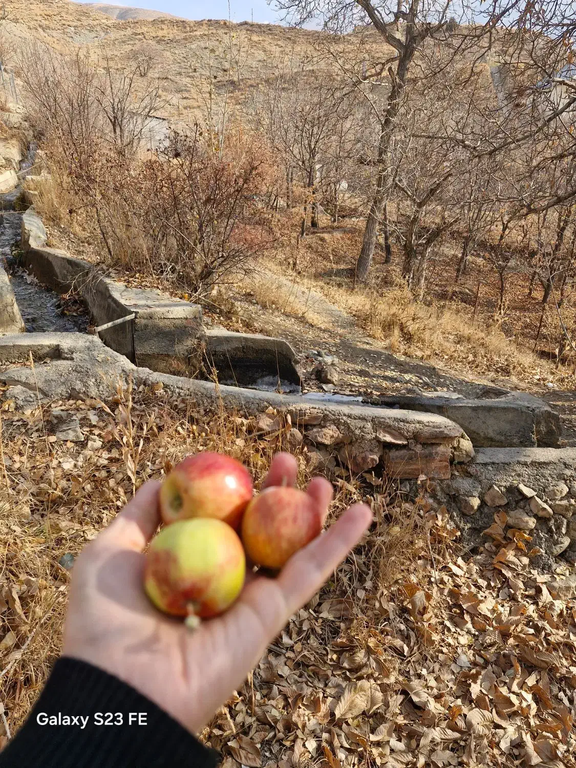 باغ،در جای بسیار خوش آب و هوا|فروش زمین و ملک کلنگی|آسارا, |دیوار