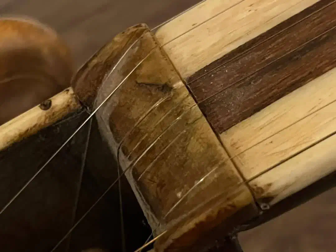 تار چگور با صدای بالا و باکیفیت|سازهای سنتی|همدان, |دیوار