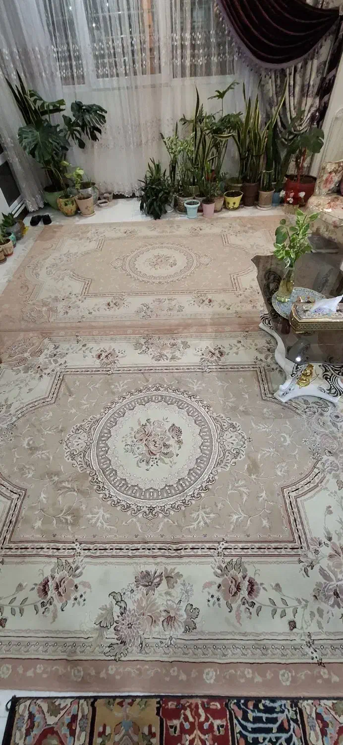 فرش|فرش|فردیس, قریشی|دیوار