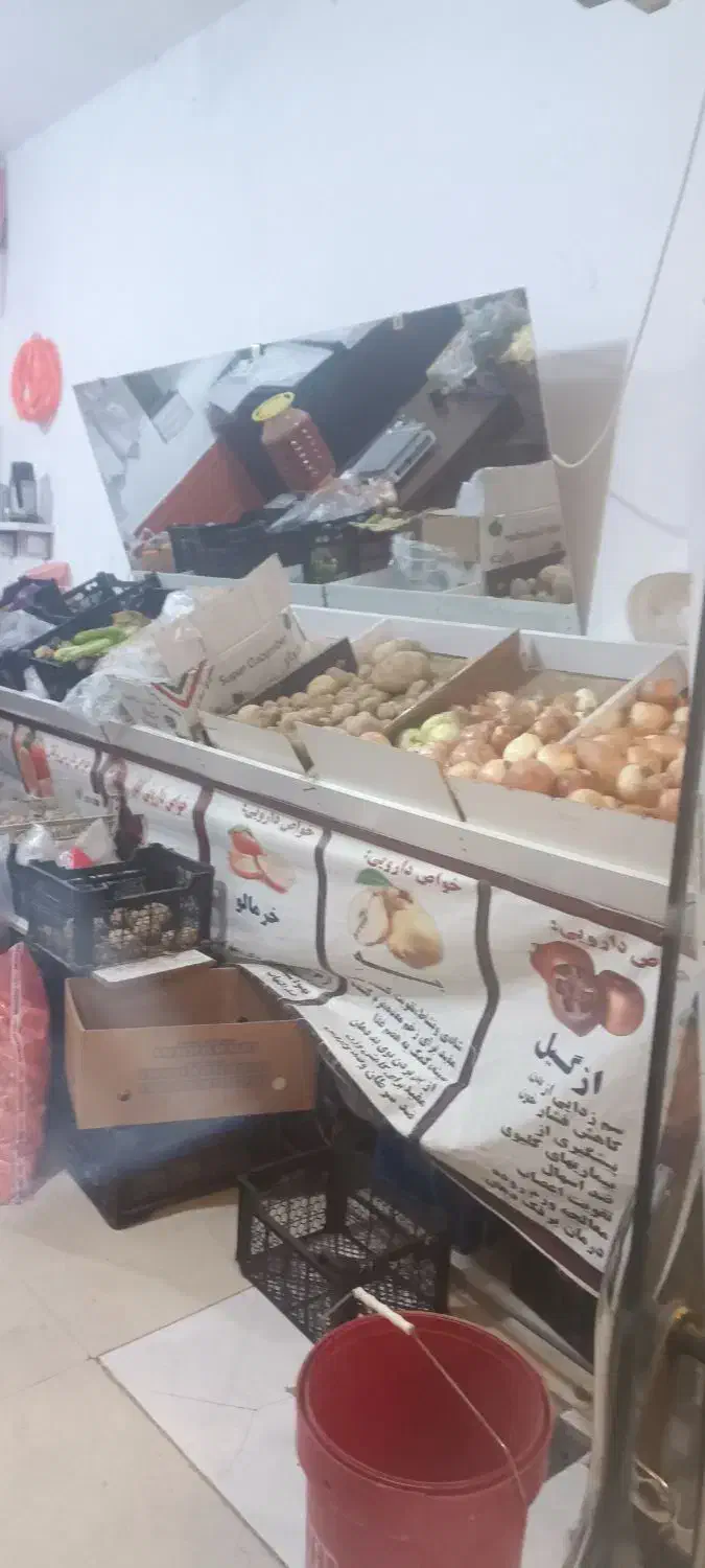 دکورمیز مغازه میوه|فروشگاه و مغازه|تربت جام, میان جام|دیوار