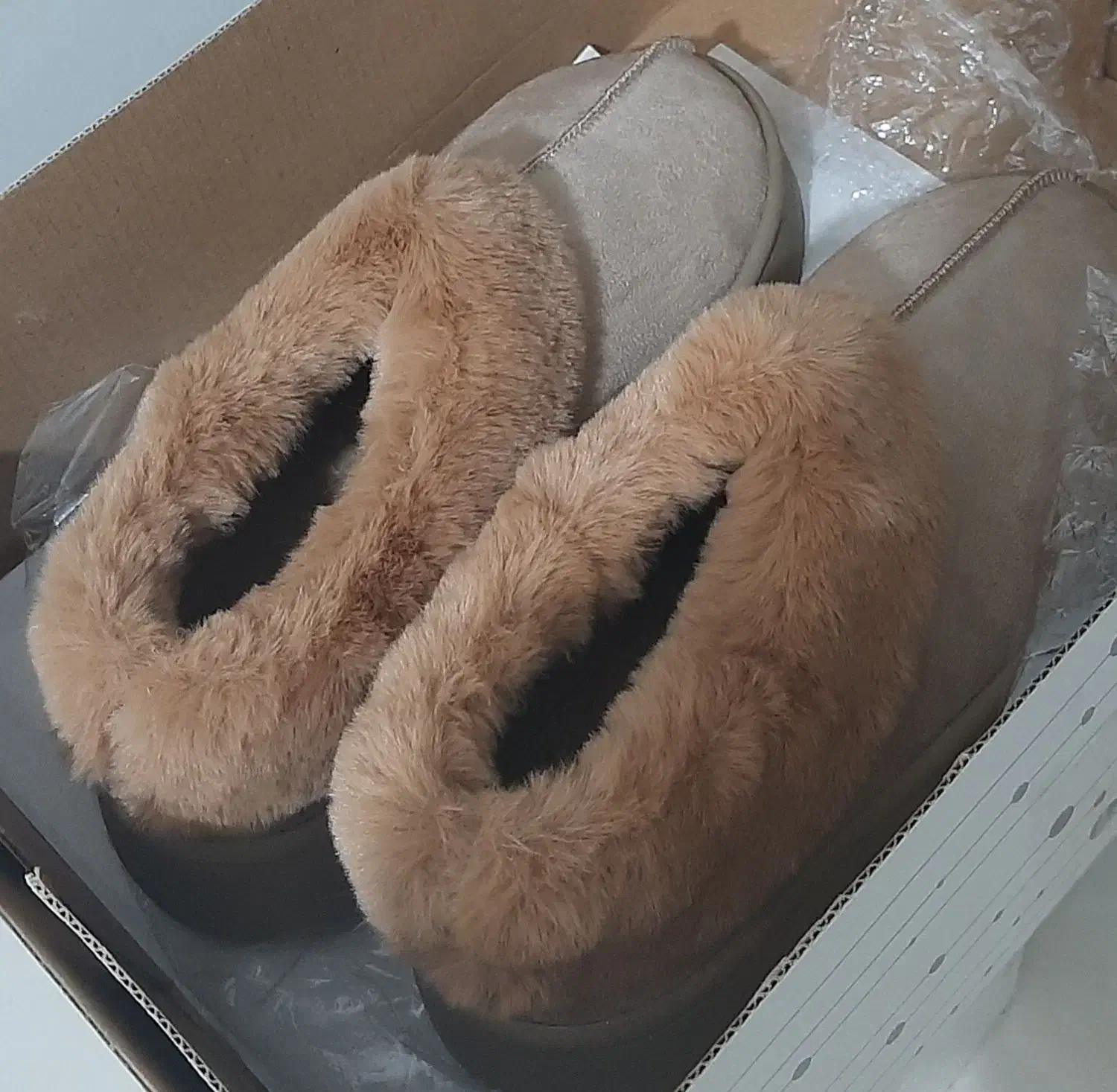 نیم بوت نو|کیف، کفش، کمربند|کوهسار (البرز), |دیوار