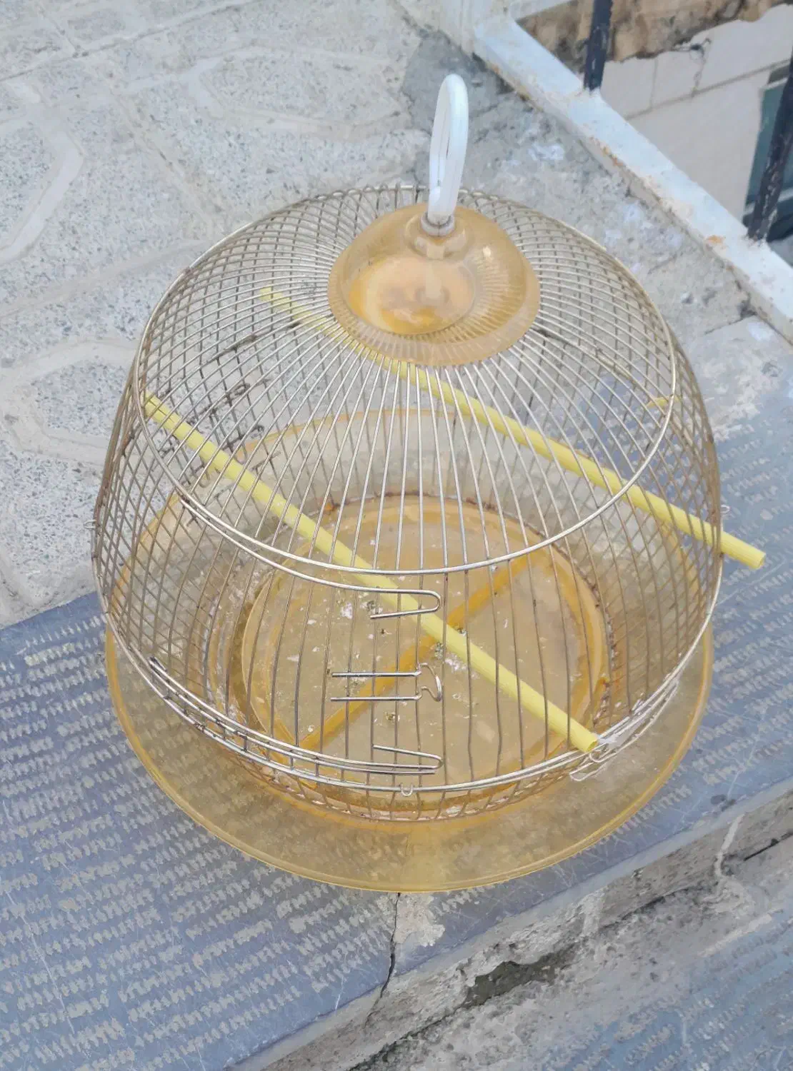 قفس طلایی سالم|لوازم جانبی حیوانات|سنندج, |دیوار