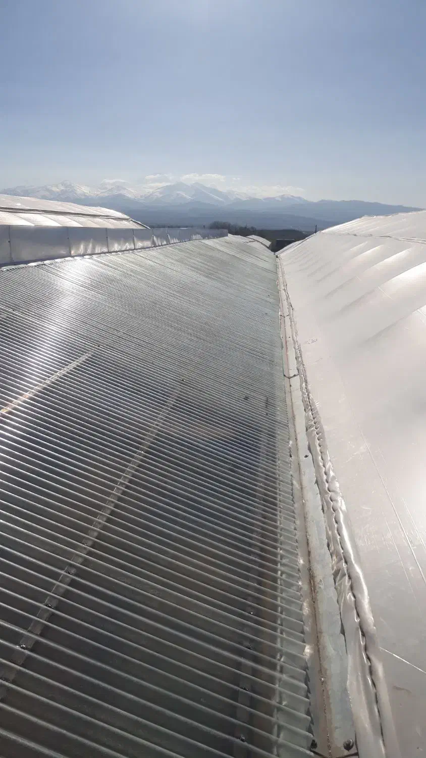 اجرای سایبان پلی کربنات شیروانی|خدمات پیشه و مهارت|اردبیل, |دیوار