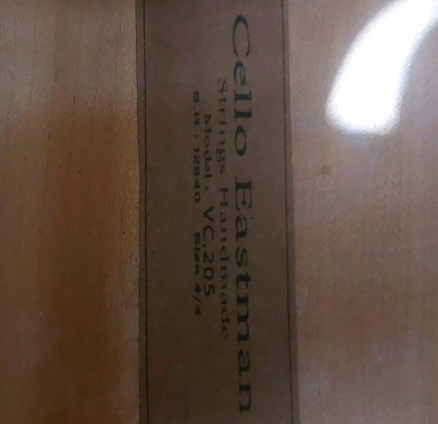 ویولنسل ۴/۴ ایستمن ۲۰۵ با متعلقات|ویولن|تهران, بریانک|دیوار