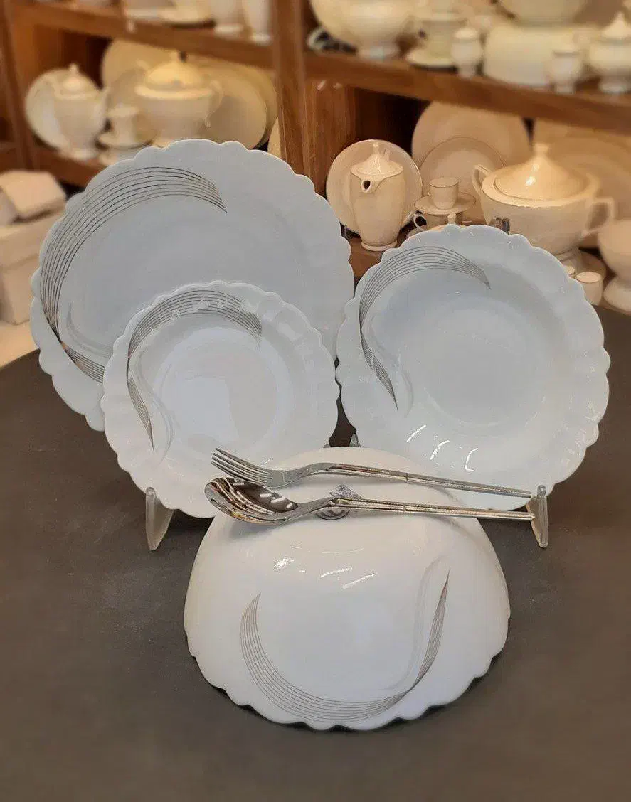 انواع آرکوپال کف گل طرح چینی|ظروف سرو و پذیرایی|نیشابور, شریعتی|دیوار