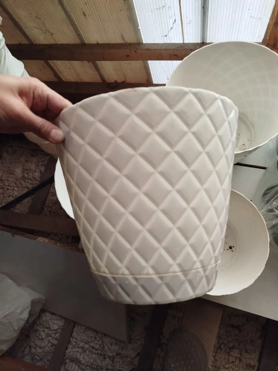 گلدون سفید|گل و گیاه طبیعی|خشکبیجار, |دیوار