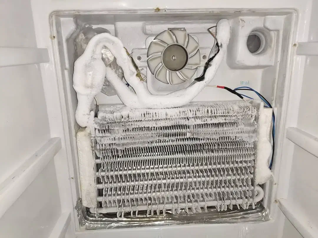 تعمیر یخچال|خدمات پیشه و مهارت|کاشان, پشت شهربانی|دیوار