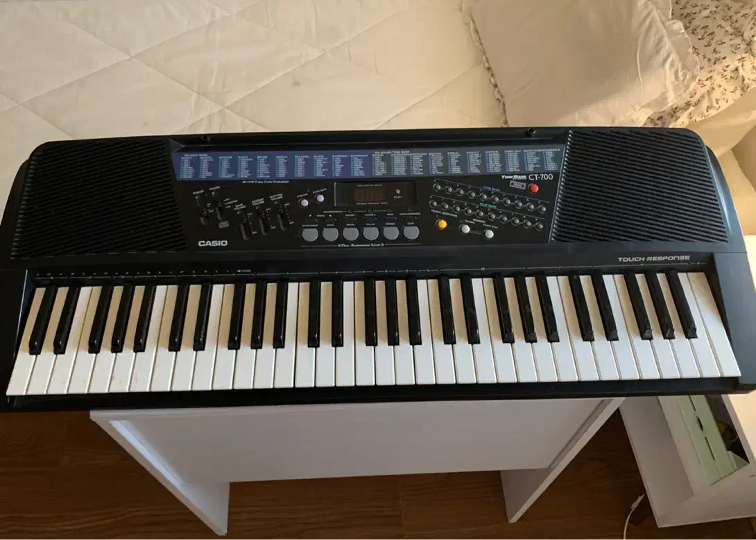 پیانو( کیبورد) کاسیو|پیانو، کیبورد، آکاردئون|بوشهر, |دیوار