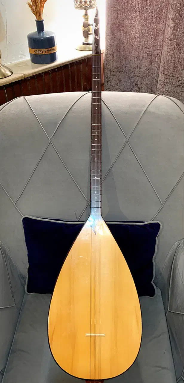 ساز دیوان الیاسی|سازهای سنتی|رشت, گلسار|دیوار