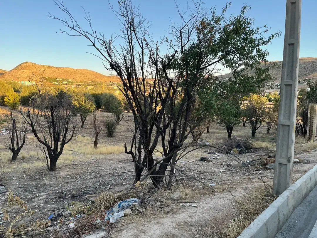 مجموعه قصر سبز زیر نظر جهاد سازندگی|فروش زمین و ملک کلنگی|شیراز, شهرک قمشه|دیوار