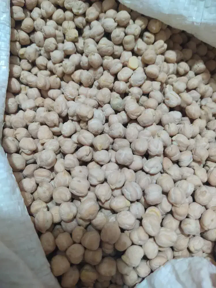 حبوبات|حراج|بومهن, |دیوار