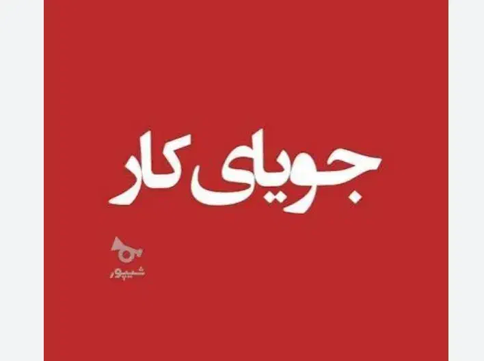 جویای کار|فعالیت داوطلبانه|تاکستان, |دیوار