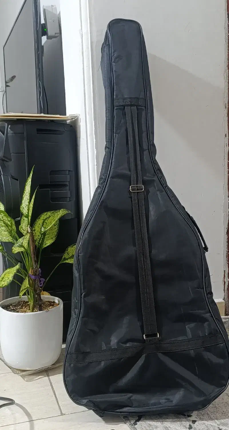 گیتار در حد نوی نو|گیتار، بیس، امپلیفایر|گنبد کاووس, |دیوار