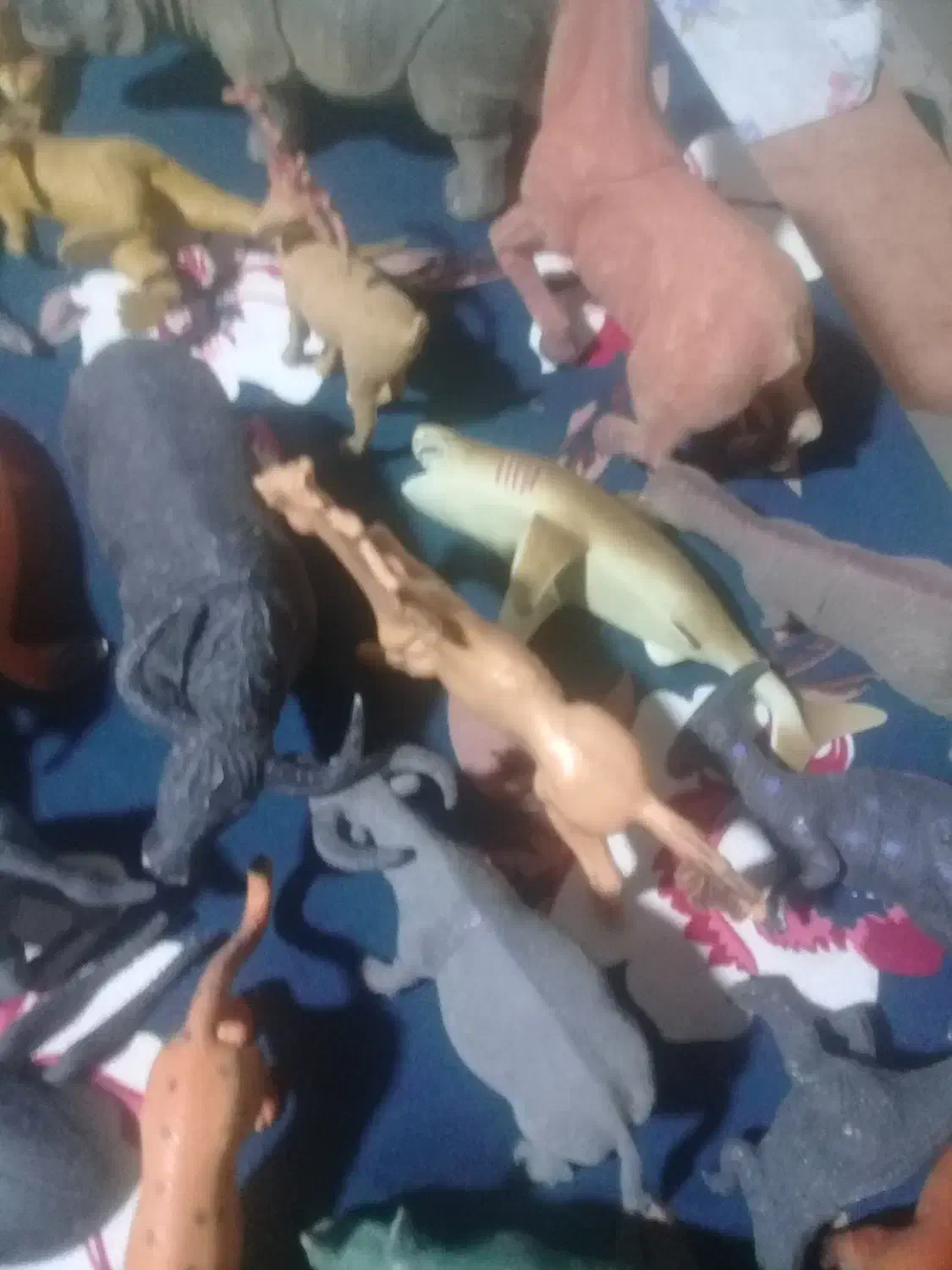 فیگور حیوانات کلکسیونی|کلکسیون و سرگرمی|تنکابن, |دیوار