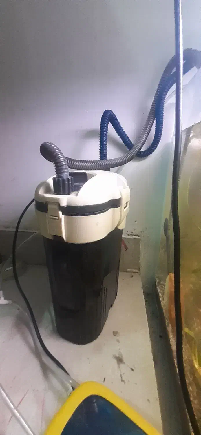 فیلتر آکواریوم هنگان سطلی داخلی|ماهی|تبریز, |دیوار